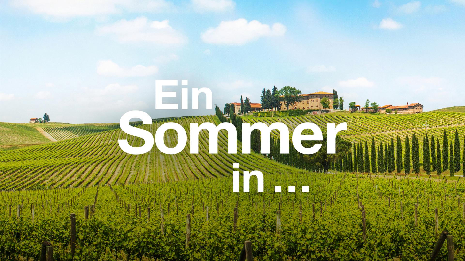 ZDFs 'Ein Sommer im Schwarzwald': Einblicke in die beliebte Reihe